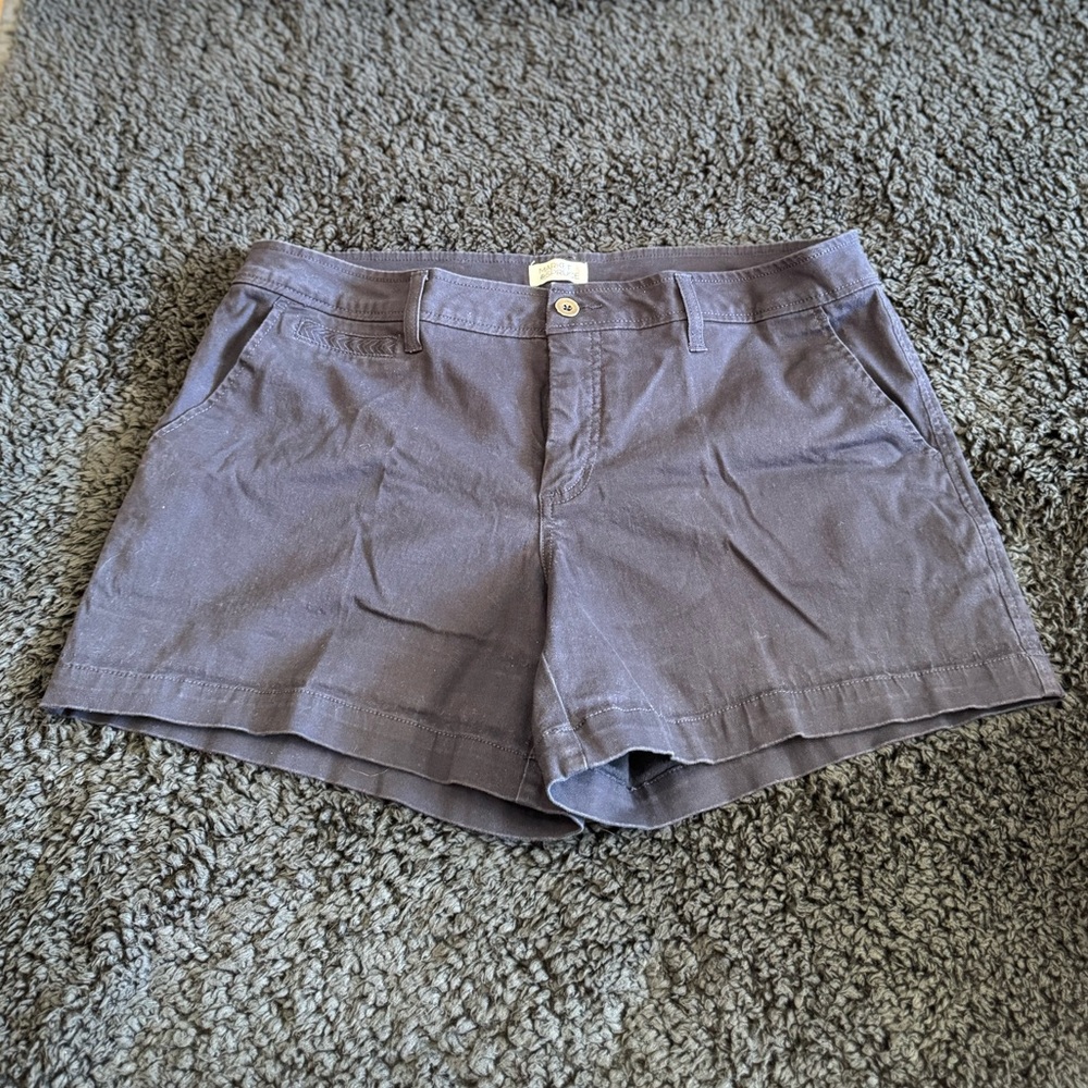 Market Spruce (Stitch Fix) Navy Shorts Women’s 14